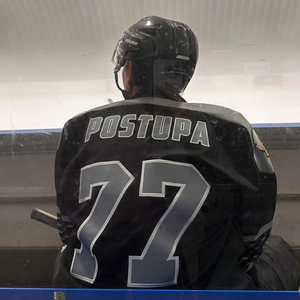 Radek Postupa